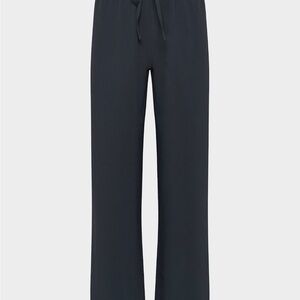Aritzia Navy Lodge Pants